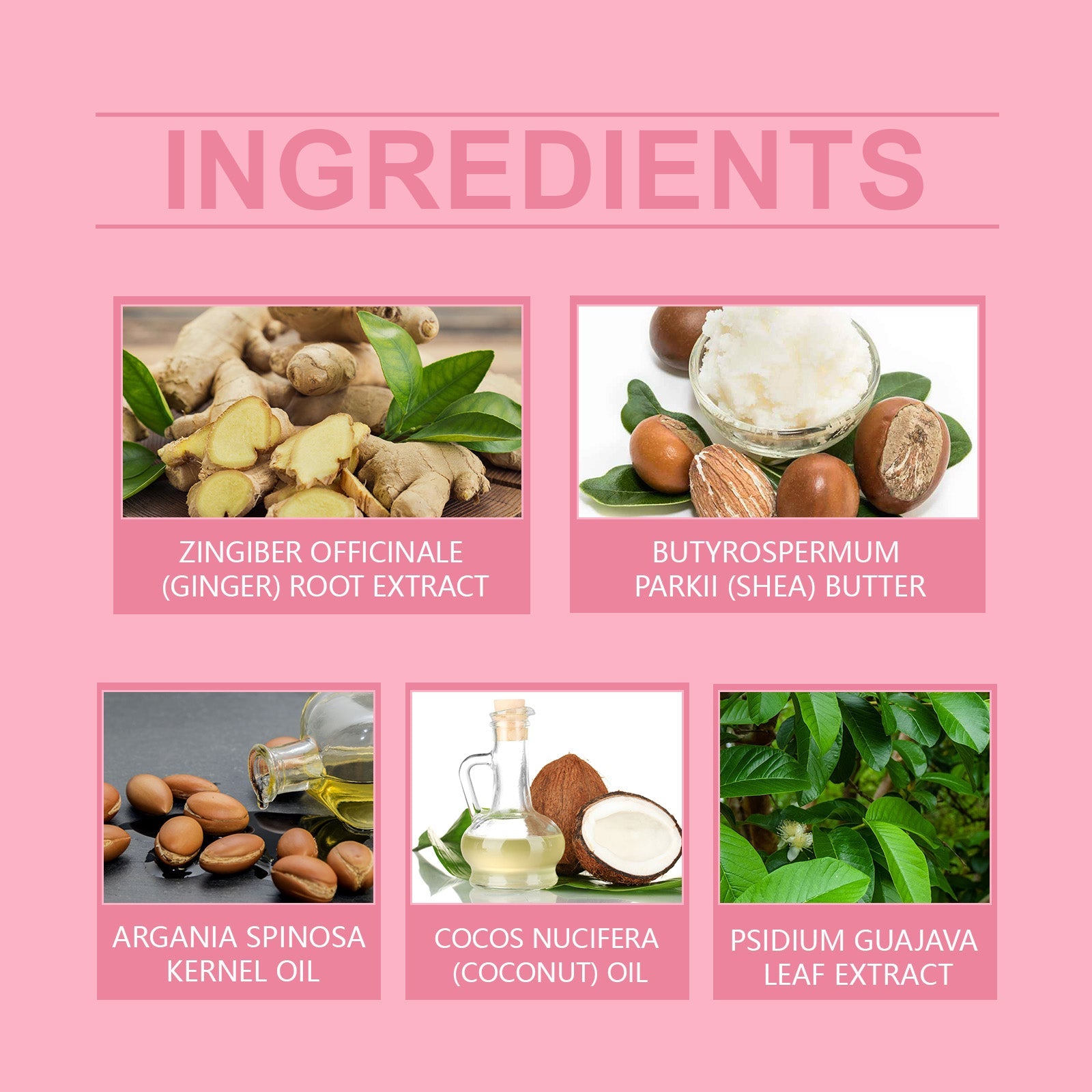Nourishing Daily Hair Mask for Hydrated Smooth Healthy Hair