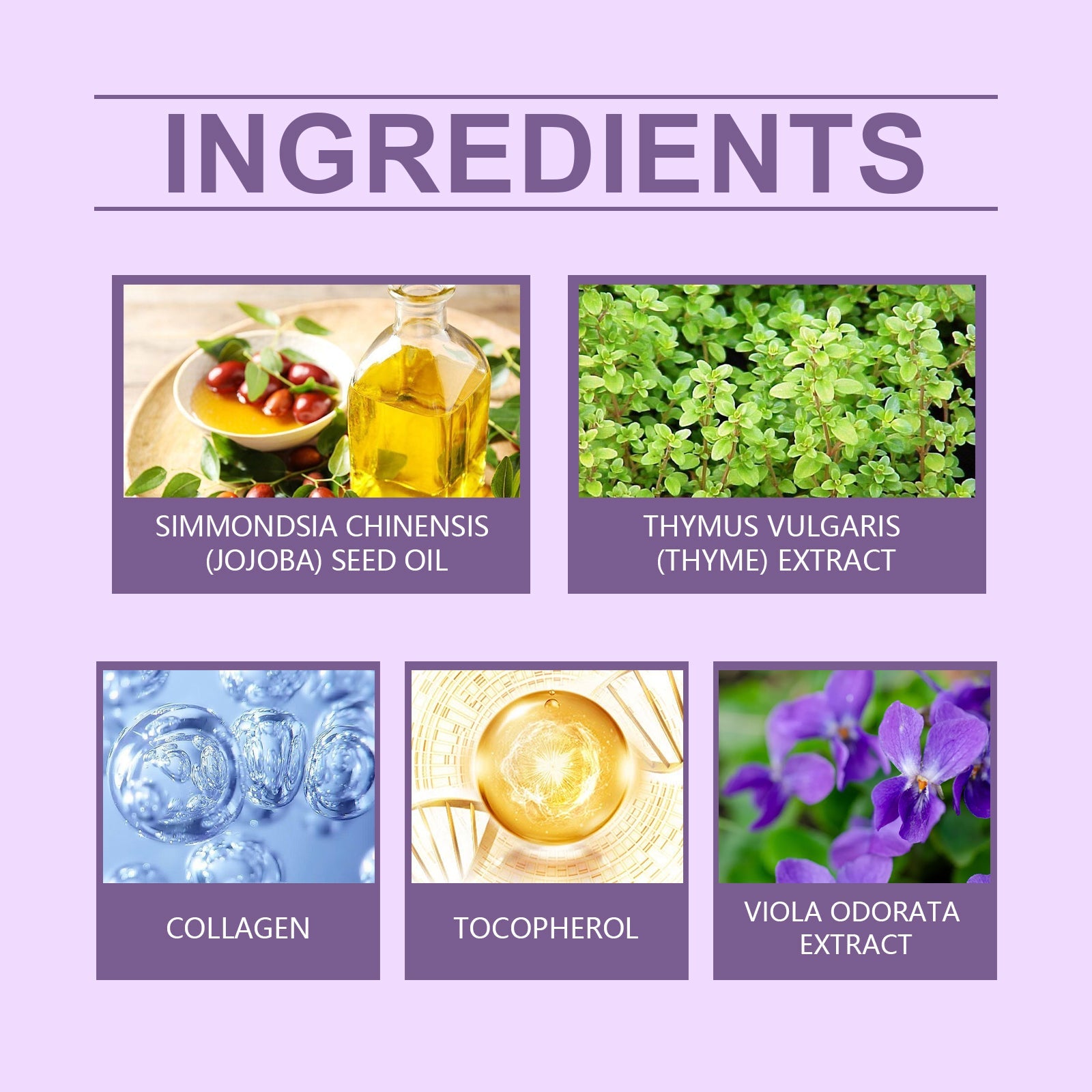 Nourishing Purple Conditioner for Soft Shiny Color-Treated Hair