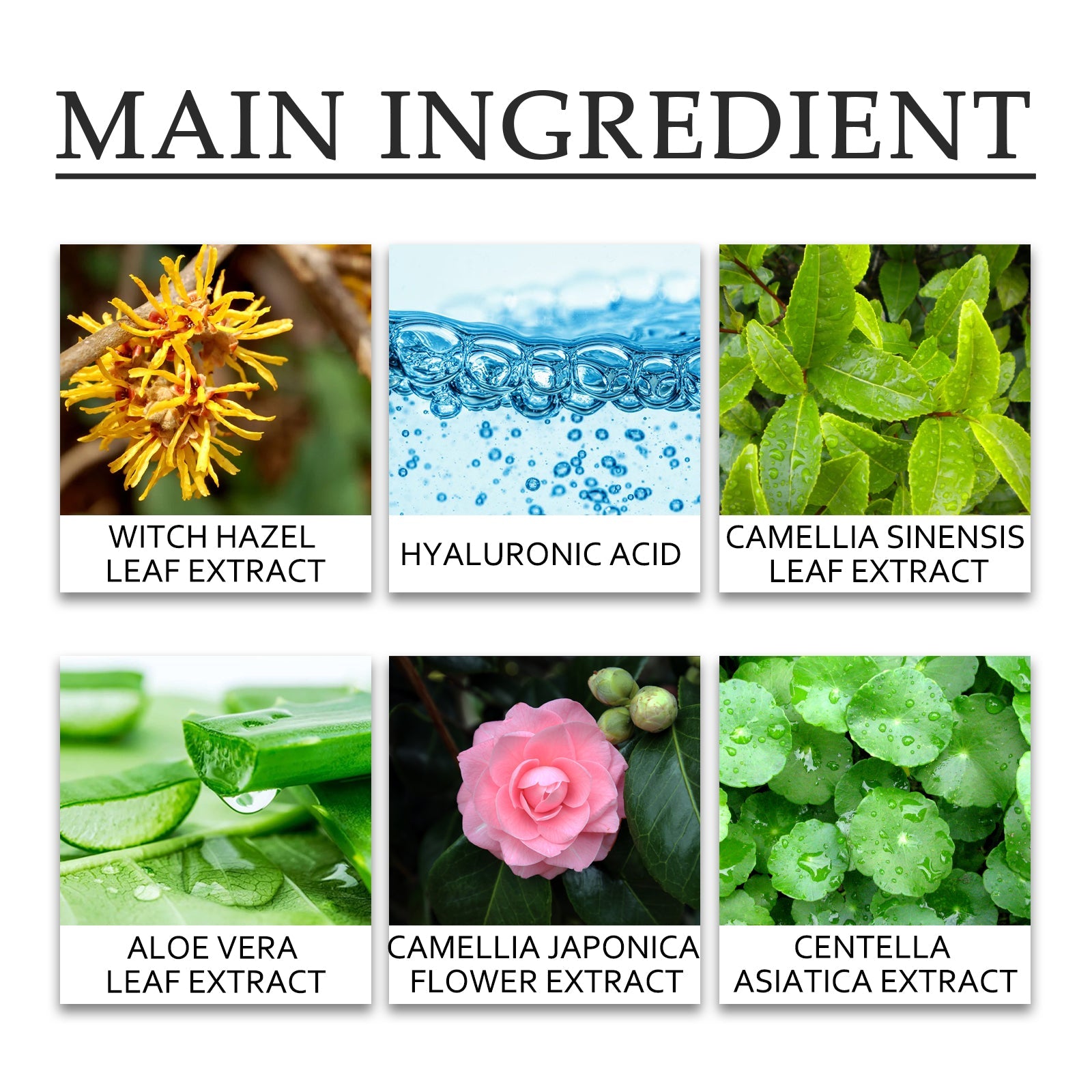 Green Tea Moisturizing Toner Refreshing Hydrating Skin Care