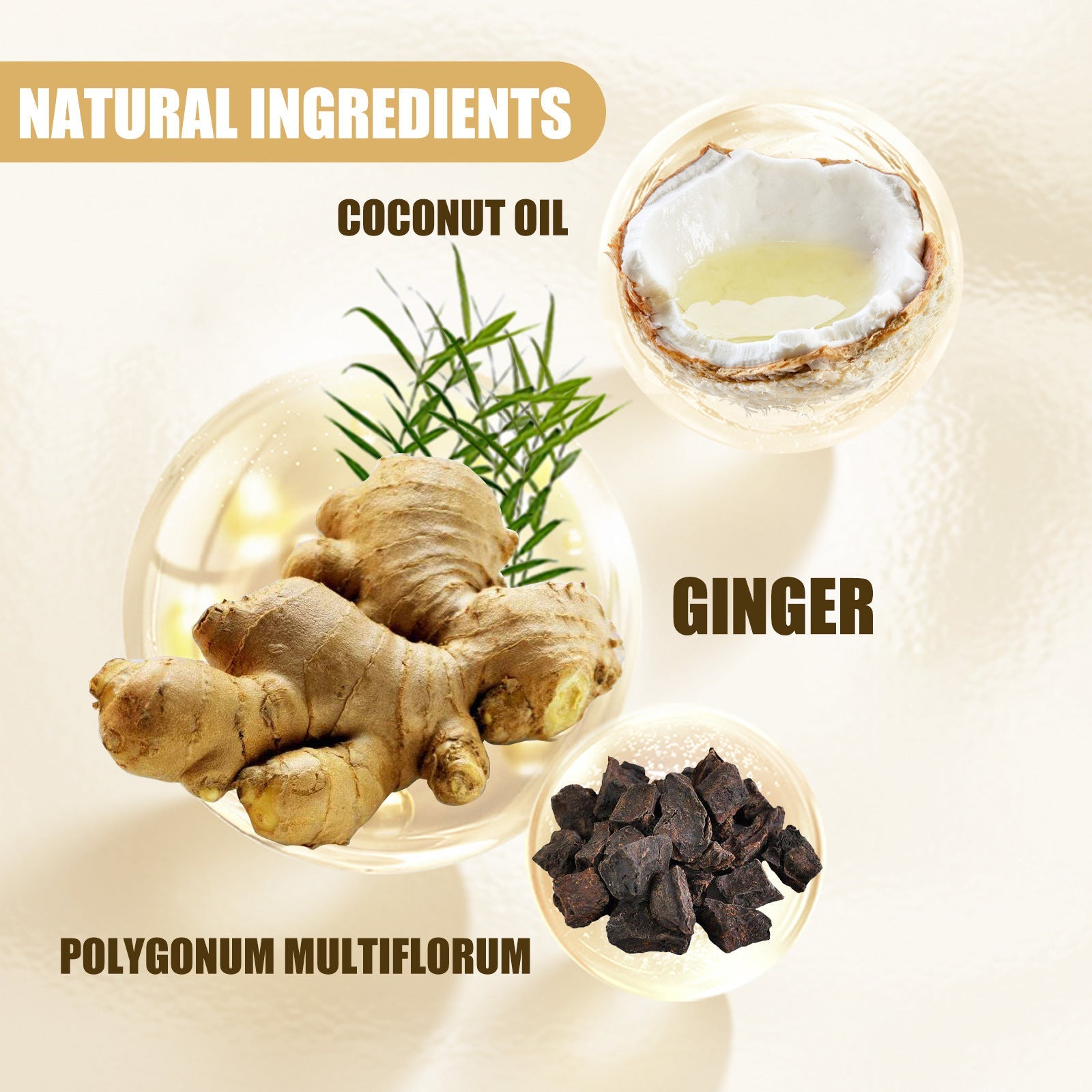 Ginger Juice Moisturizing Hair Repair Shampoo for Stronger Hair