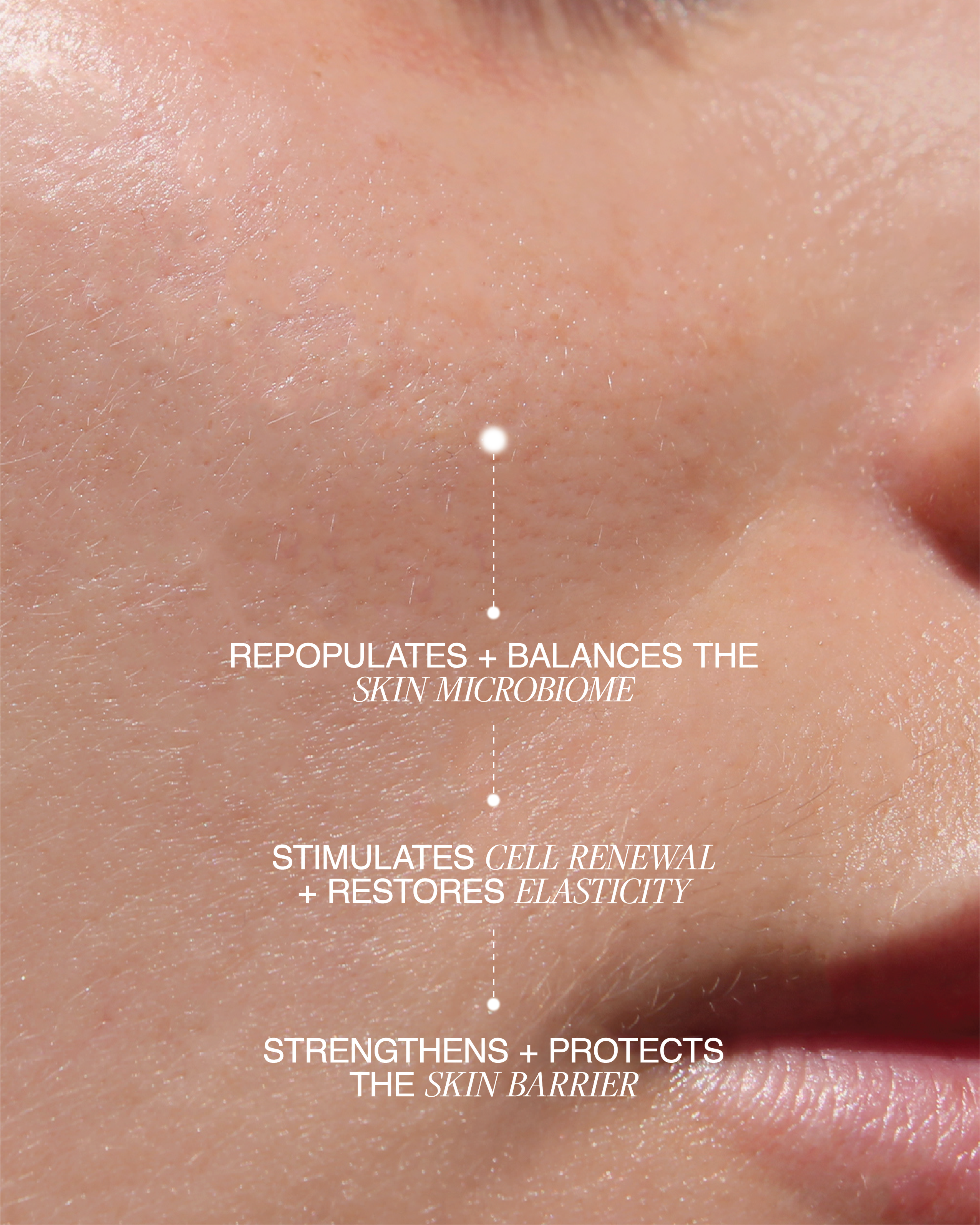 Biome Boost Cream Daily Moisturizer